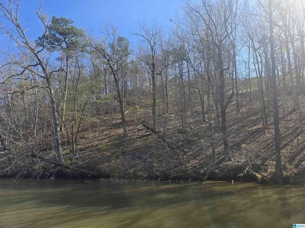 LOT 6 Preserve Dr, Rockford, AL 35136