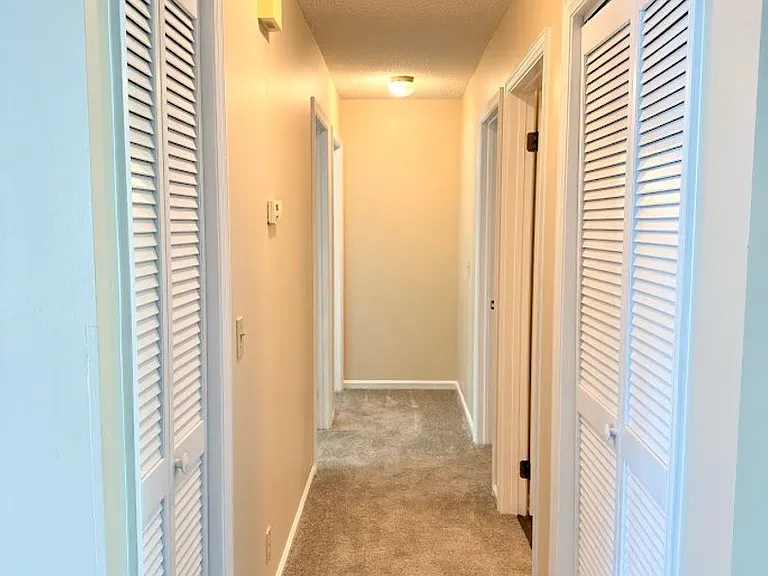 202 Cypress Dr — Photo 5