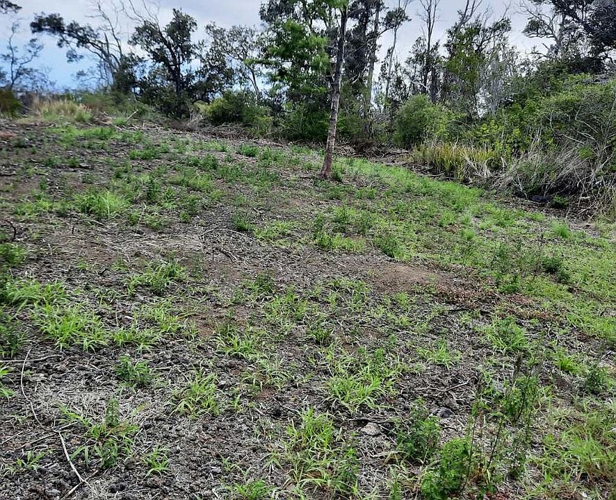 2nd image of Tiki Ln Lot 13