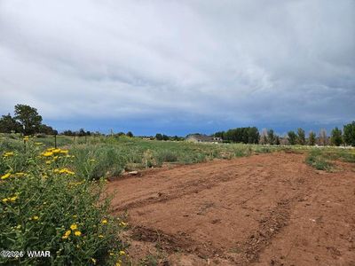 Caldwell Canyon Rd, Snowflake, AZ, 85937