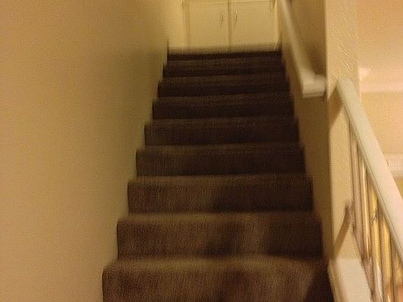 Plush carpet 2nd floor