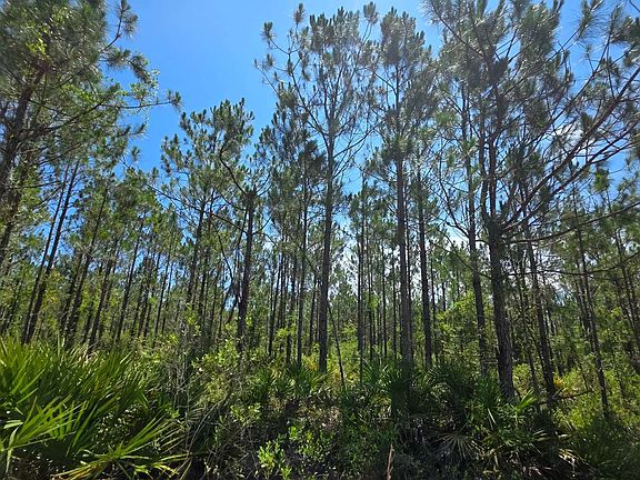 4th image of 0 SW Pine Lake Rd