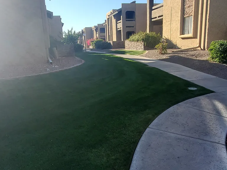 3825 E Camelback Rd #150 — Photo 33