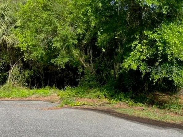 SE 64th Pl Lot 14, Hawthorne, FL 32640