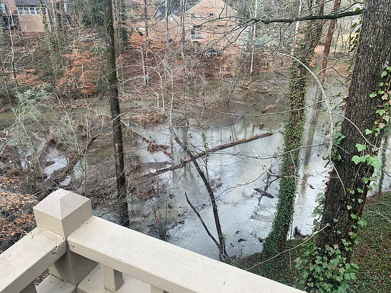 Backyard View