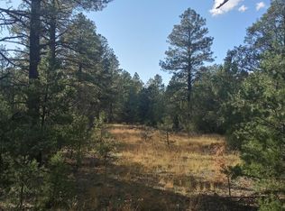 15 Yucca Dr, Ramah, NM 87321