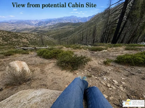 0 Ditch Rd, Markleeville, CA 96120
