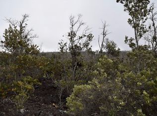 Tiki Ln, Captain Cook, HI 96704