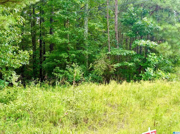 2837 Lehigh Rd #1, Trafford, AL 35172