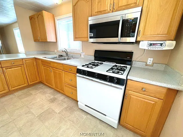 803 Roadrunner Dr — Photo 15
