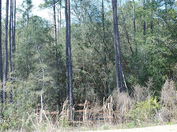 4021 WINNSBORO COVE