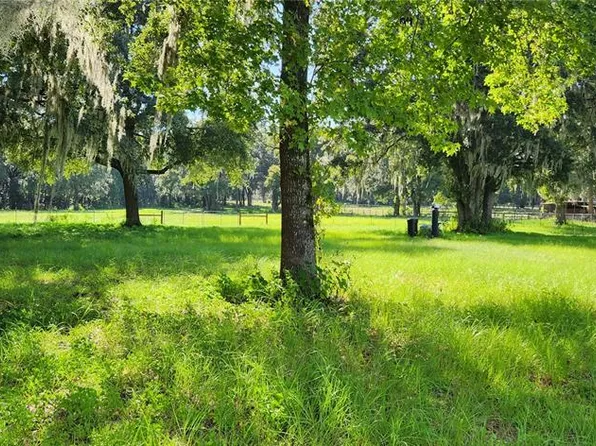 11720 NW Highway 225, Reddick, FL 32686