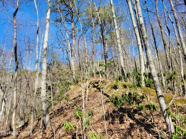 0 John Sevier Dr Lot 63, Sevierville, TN 37876