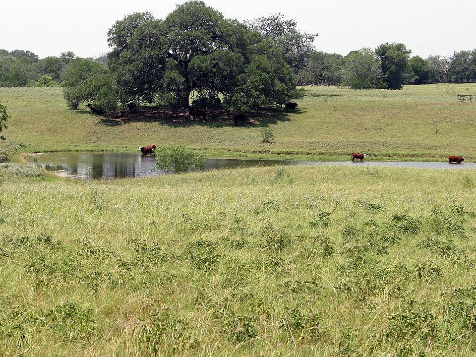 1st image of 319 R C Ln