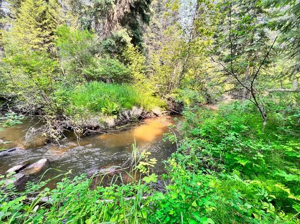 22 Hosanna Way, Republic, WA 99166