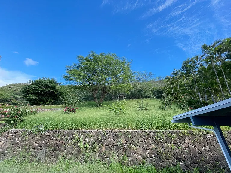 971 Wainiha St — Photo 20