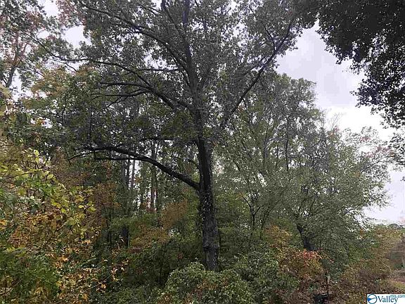 3rd image of LOT 5 State Highway 79 S