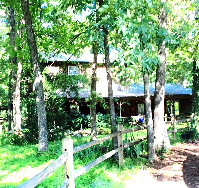 house hidden by trees