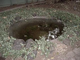 3rd image of 7528 Mazama St SW