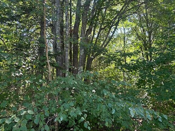 4th image of 7-4 Station Road