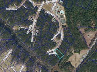 341 Wild Swan Ln, Arapahoe, NC 28510