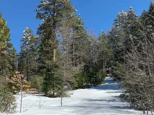 0 Laurel Trl Lot 7, Idyllwild, CA 92549