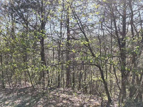 Lot #46 Gumbo Woods, Shell Knob, MO 65747