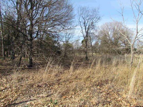 County Road 2248, Mineola, TX 75773