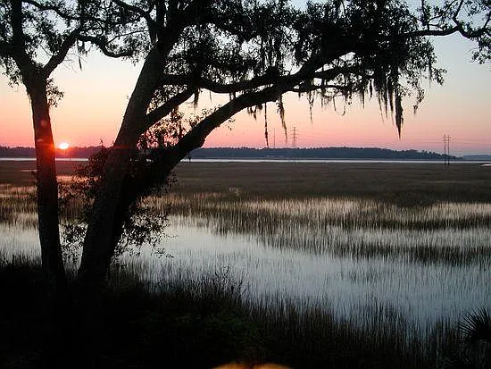 Brown Pelican Dr, Savannah — Photo 1