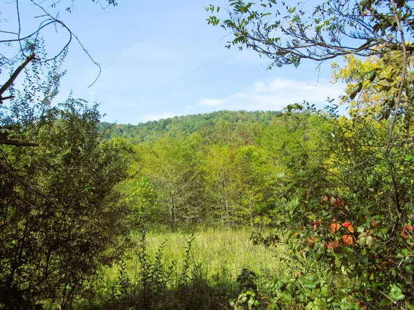 0 Fortunes Cove Ln, Lovingston, VA 22949