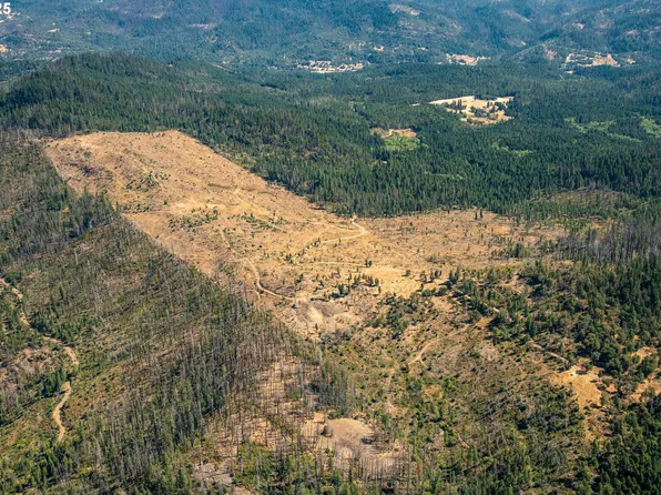 Diamond Rock Rd, Winston, OR 97496