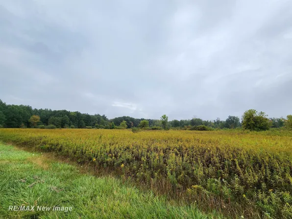 Ithaca Rd, Saint Charles, MI 48655