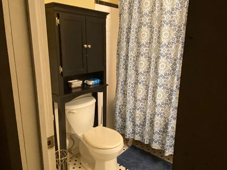 Master Bedroom - toilet and claw foot tub area