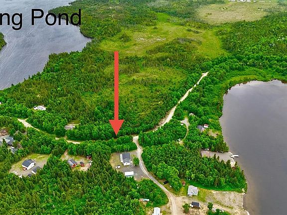 3rd image of 0 Birchy Bay Pond