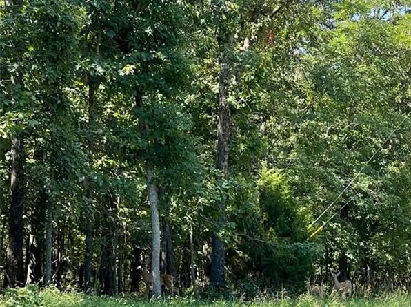 340 East Ln, Jay, OK 74346