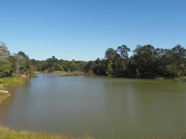 1086 Cd Rayborn Rd, McComb, MS 39648