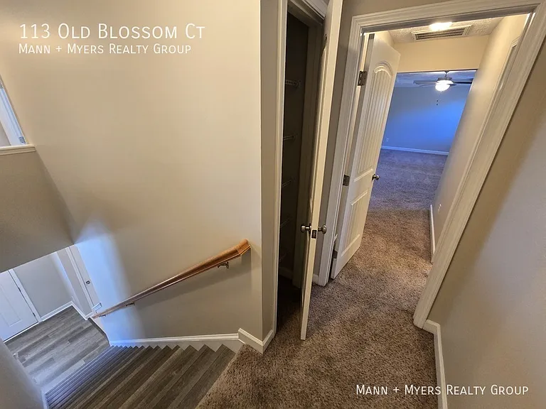 113 Old Blossom Ct — Photo 23