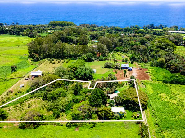 29-256 Kulaiwi Rd, Hakalau, HI 96710