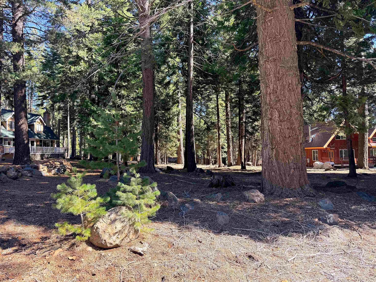 722 Conifer Trl photo 1