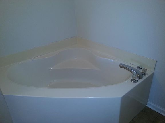 4th image of 1389 Tiger Lake Dr
