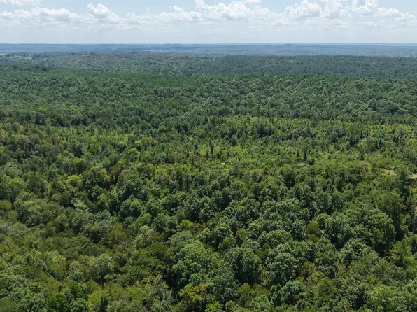 W 80000th Rd, Gillham, AR 71841