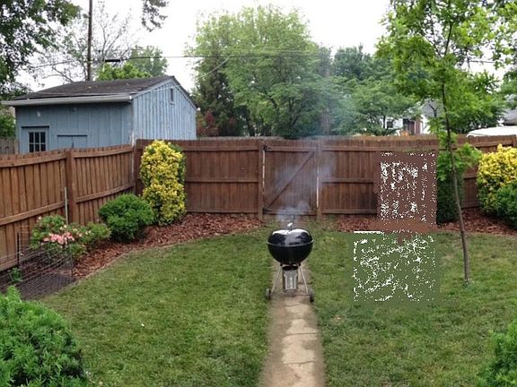 Back yard