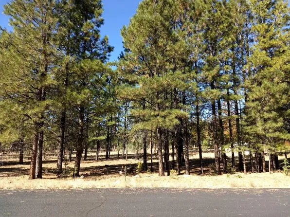 1692 Sugar Pine Dr, Happy Jack, AZ 86024
