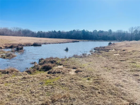 County Road 2376, Winnsboro, TX 75494