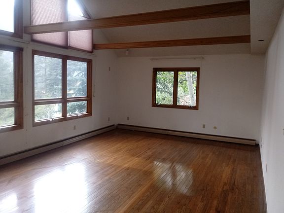 Vaulted ceiling living room