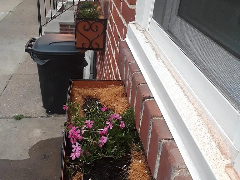 533 Pierce St — Photo 22