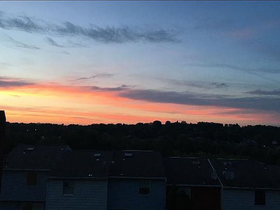 View from deck