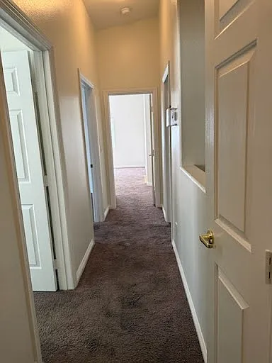 3508 Glorious Iris Pl — Photo 9
