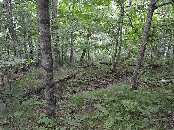 5th image of 6154W Hunter Lake Road