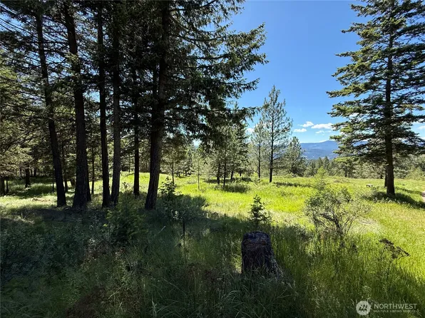 5 Hidden Spring Ranch Road, Republic, WA 99166